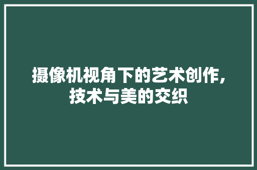 摄像机视角下的艺术创作,技术与美的交织