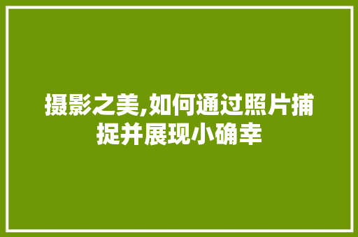 摄影之美,如何通过照片捕捉并展现小确幸