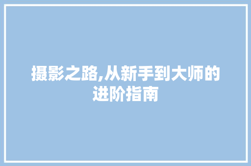 摄影之路,从新手到大师的进阶指南