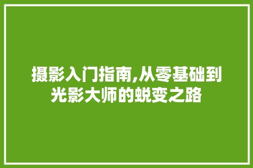 摄影入门指南,从零基础到光影大师的蜕变之路
