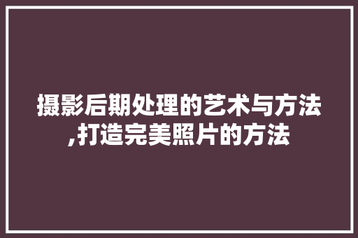 摄影后期处理的艺术与方法,打造完美照片的方法