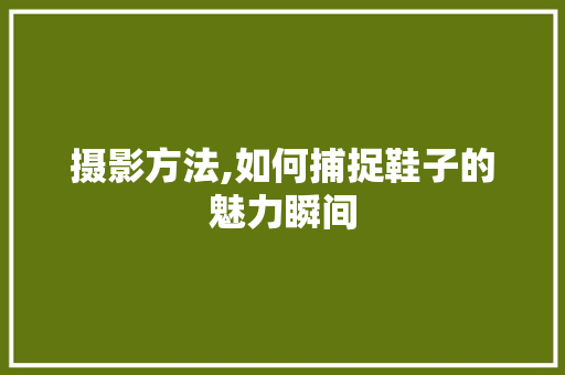 摄影方法,如何捕捉鞋子的魅力瞬间 编程语言