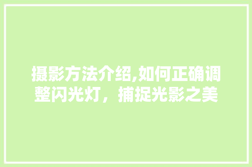 摄影方法介绍,如何正确调整闪光灯，捕捉光影之美