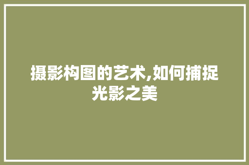 摄影构图的艺术,如何捕捉光影之美