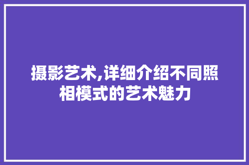 摄影艺术,详细介绍不同照相模式的艺术魅力