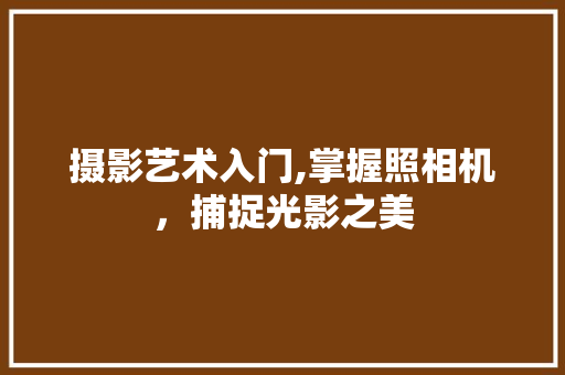 摄影艺术入门,掌握照相机，捕捉光影之美