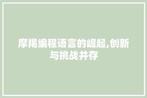 摩羯编程语言的崛起,创新与挑战并存