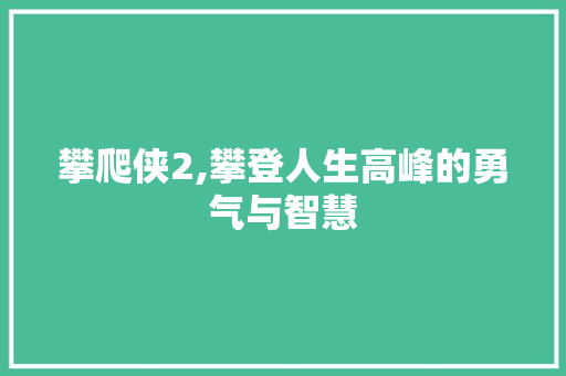 攀爬侠2,攀登人生高峰的勇气与智慧