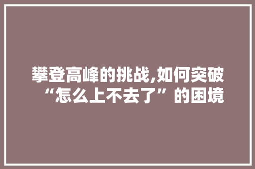 攀登高峰的挑战,如何突破“怎么上不去了”的困境