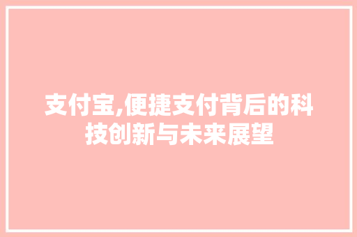 支付宝,便捷支付背后的科技创新与未来展望