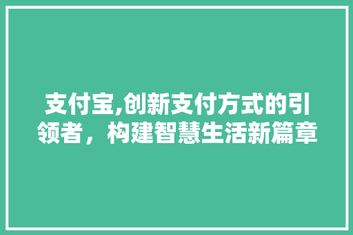 支付宝,创新支付方式的引领者，构建智慧生活新篇章