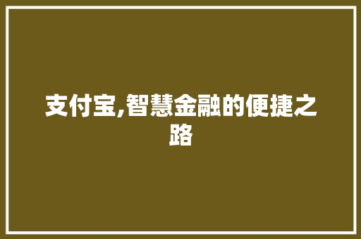 支付宝,智慧金融的便捷之路