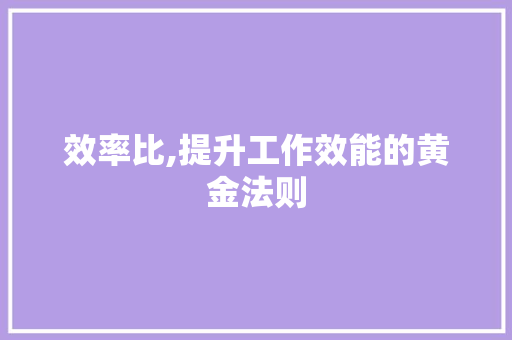 效率比,提升工作效能的黄金法则