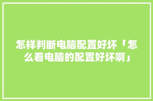 怎样判断电脑配置好坏「怎么看电脑的配置好坏啊」 怎样判断电脑配置好坏「怎么看电脑的配置好坏啊」 电脑故障维修