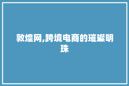 敦煌网,跨境电商的璀璨明珠