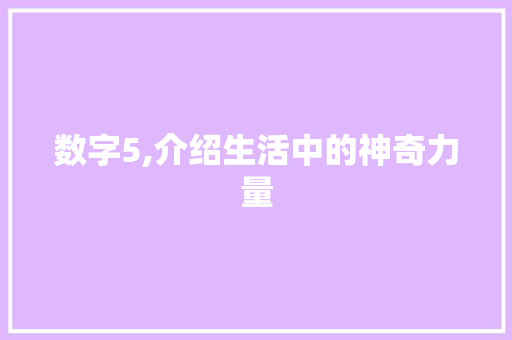数字5,介绍生活中的神奇力量