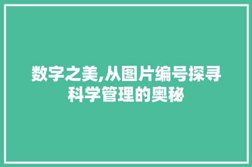 数字之美,从图片编号探寻科学管理的奥秘