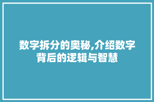 数字拆分的奥秘,介绍数字背后的逻辑与智慧