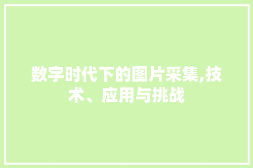 数字时代下的图片采集,技术、应用与挑战 数字时代下的图片采集,技术、应用与挑战