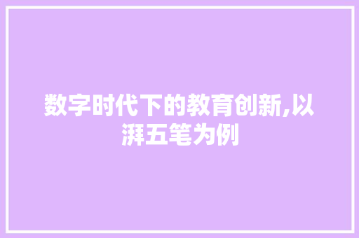 数字时代下的教育创新,以湃五笔为例