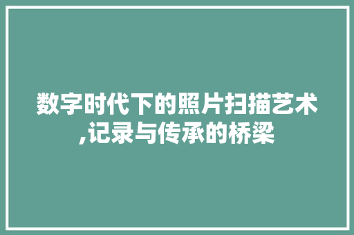 数字时代下的照片扫描艺术,记录与传承的桥梁