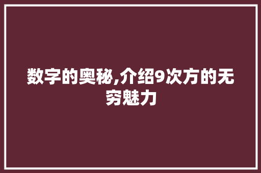 数字的奥秘,介绍9次方的无穷魅力