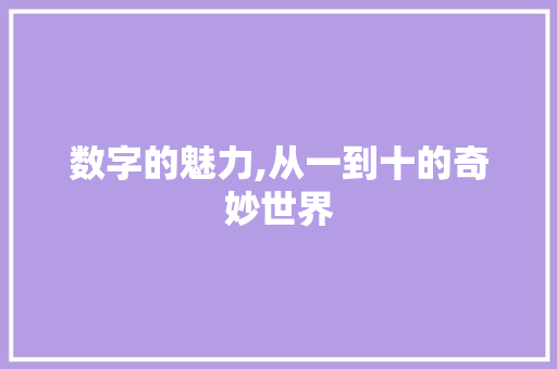 数字的魅力,从一到十的奇妙世界