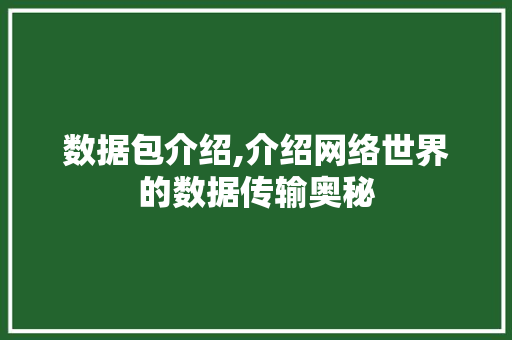 数据包介绍,介绍网络世界的数据传输奥秘