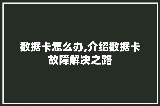 数据卡怎么办,介绍数据卡故障解决之路