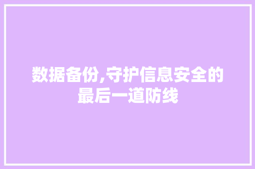 数据备份,守护信息安全的最后一道防线