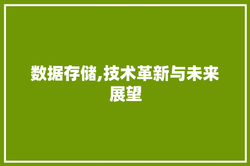 数据存储,技术革新与未来展望