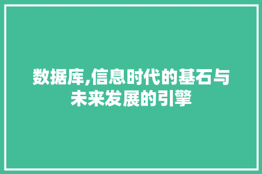 数据库,信息时代的基石与未来发展的引擎 电脑配置