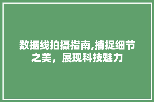 数据线拍摄指南,捕捉细节之美，展现科技魅力
