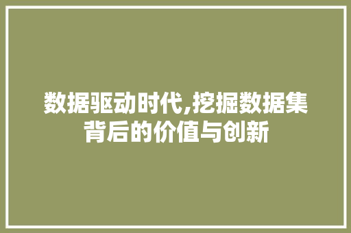 数据驱动时代,挖掘数据集背后的价值与创新