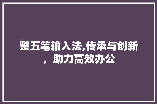 整五笔输入法,传承与创新，助力高效办公