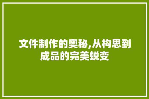 文件制作的奥秘,从构思到成品的完美蜕变