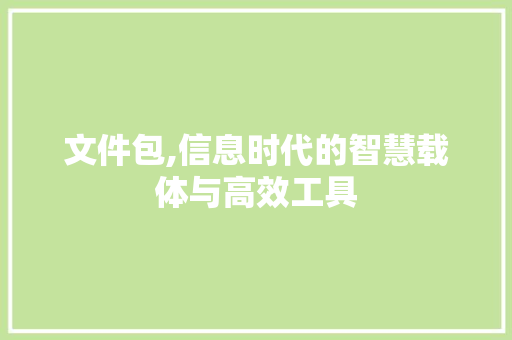 文件包,信息时代的智慧载体与高效工具