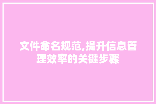 文件命名规范,提升信息管理效率的关键步骤