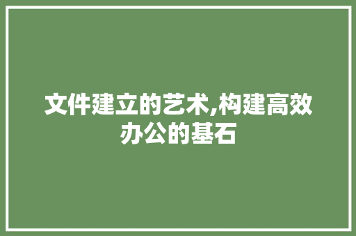 文件建立的艺术,构建高效办公的基石 编程语言