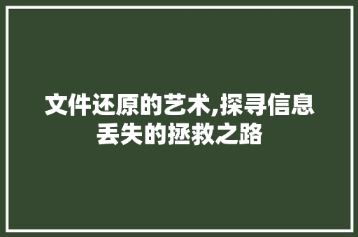 文件还原的艺术,探寻信息丢失的拯救之路