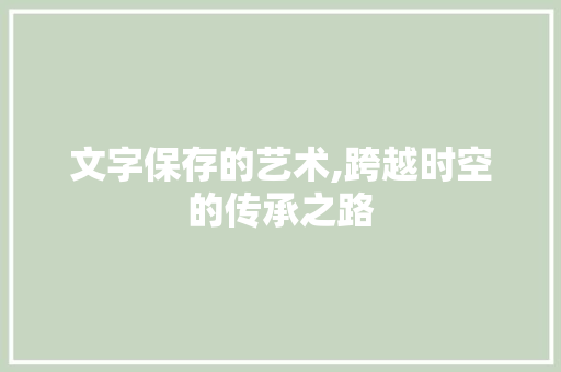 文字保存的艺术,跨越时空的传承之路