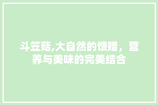斗笠菇,大自然的馈赠，营养与美味的完美结合