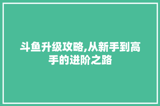 斗鱼升级攻略,从新手到高手的进阶之路