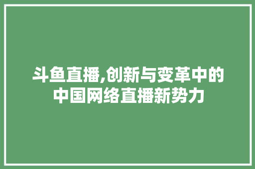 斗鱼直播,创新与变革中的中国网络直播新势力