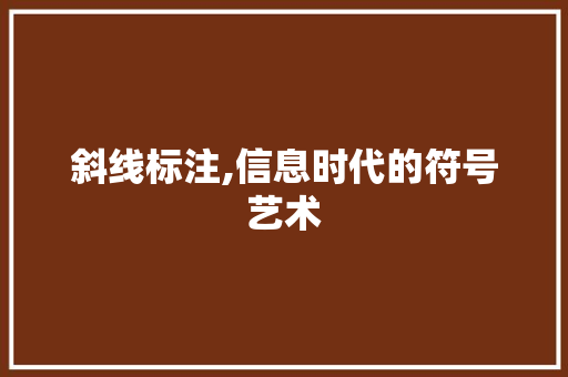 斜线标注,信息时代的符号艺术