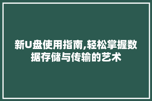 新U盘使用指南,轻松掌握数据存储与传输的艺术