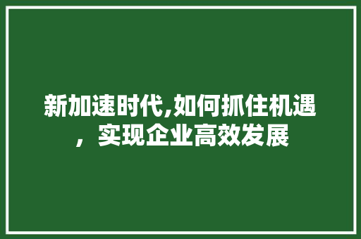 新加速时代,如何抓住机遇，实现企业高效发展