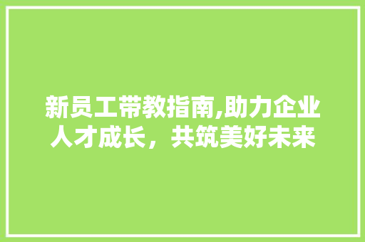 新员工带教指南,助力企业人才成长，共筑美好未来