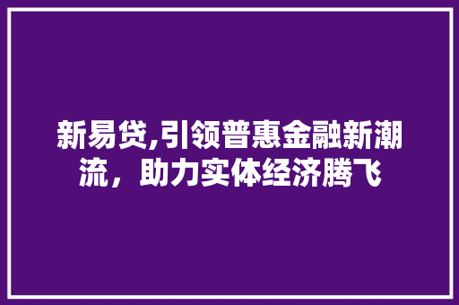 新易贷,引领普惠金融新潮流，助力实体经济腾飞