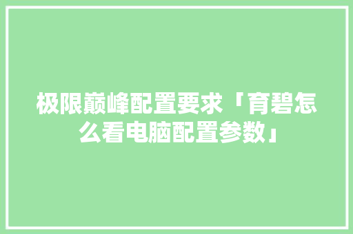 极限巅峰配置要求「育碧怎么看电脑配置参数」